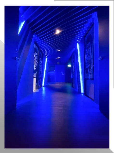 姈園