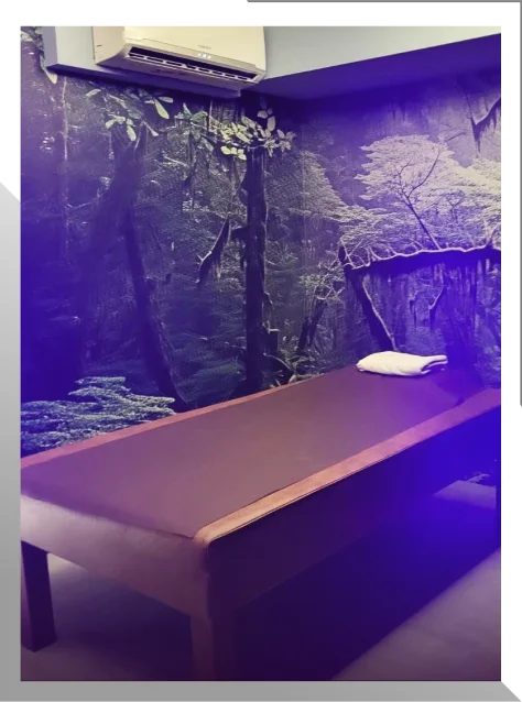 芯苑